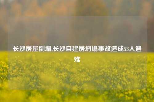 长沙房屋倒塌,长沙自建房坍塌事故造成53人遇难