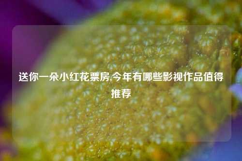 送你一朵小红花票房,今年有哪些影视作品值得推荐