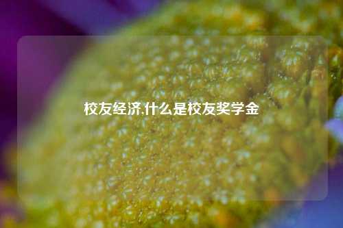 校友经济,什么是校友奖学金