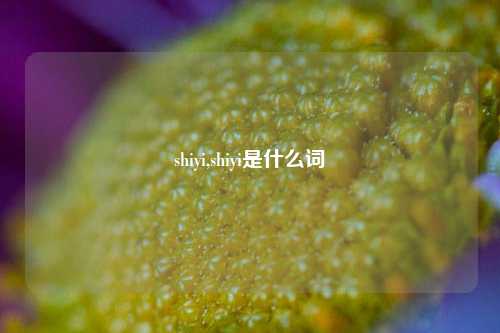 shiyi,shiyi是什么词