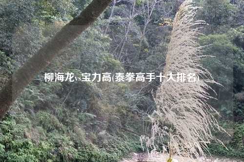 柳海龙vs宝力高(泰拳高手十大排名)