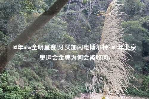 08年nba全明星赛(牙买加闪电博尔特2008年北京奥运会金牌为何会被收回)