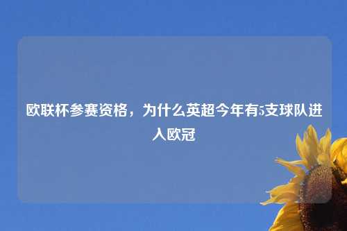 欧联杯参赛资格，为什么英超今年有5支球队进入欧冠