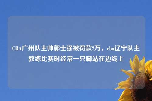 CBA广州队主帅郭士强被罚款2万，cba辽宁队主教练比赛时经常一只脚站在边线上