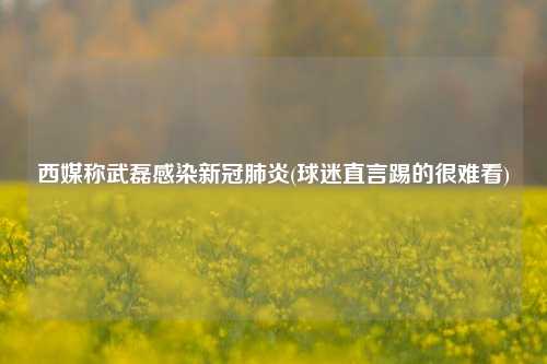 西媒称武磊感染新冠肺炎(球迷直言踢的很难看)