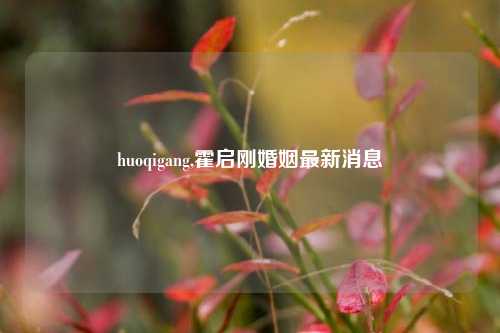 huoqigang,霍启刚婚姻最新消息