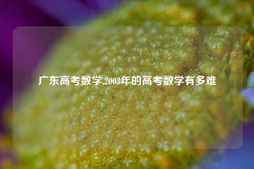 广东高考数学,2003年的高考数学有多难