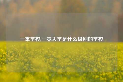 一本学校,一本大学是什么级别的学校