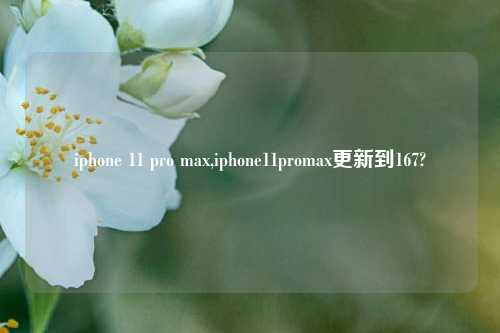 iphone 11 pro max,iphone11promax更新到167?