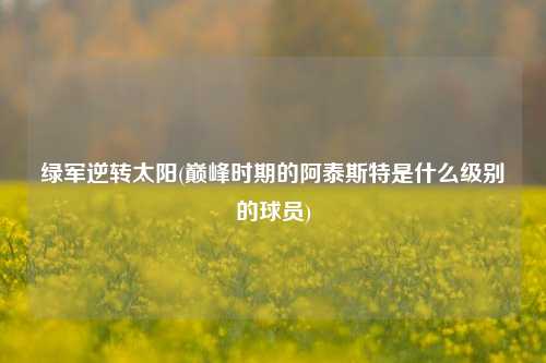 绿军逆转太阳(巅峰时期的阿泰斯特是什么级别的球员)