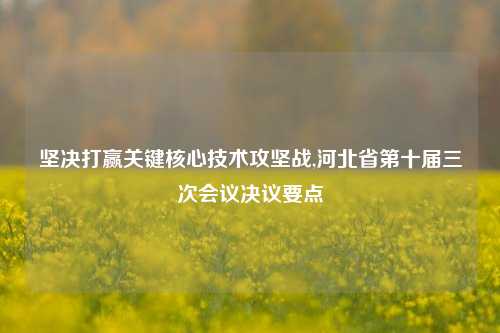 坚决打赢关键核心技术攻坚战,河北省第十届三次会议决议要点