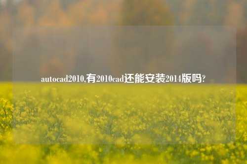 autocad2010,有2010cad还能安装2014版吗?