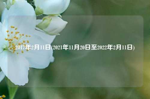 2017年2月11日(2021年11月20日至2022年2月11日)