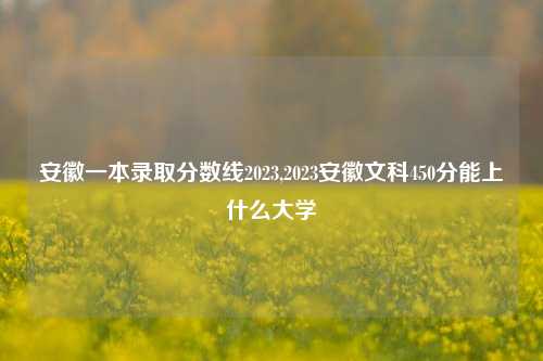 安徽一本录取分数线2023,2023安徽文科450分能上什么大学