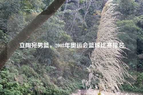 立陶宛男篮，2008年奥运会篮球比赛排名