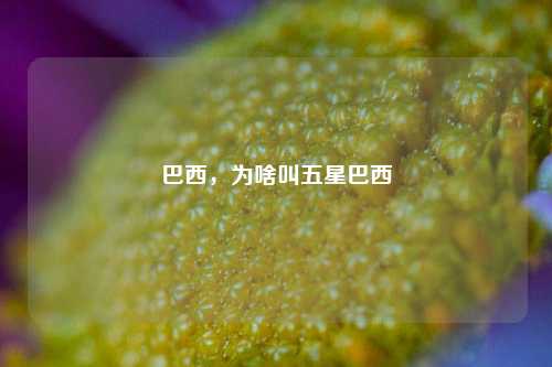 巴西，为啥叫五星巴西