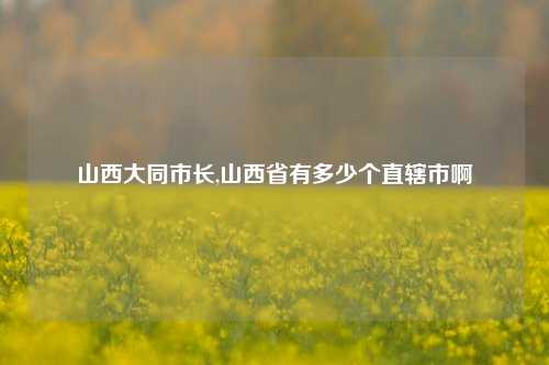 山西大同市长,山西省有多少个直辖市啊