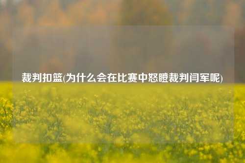 裁判扣篮(为什么会在比赛中怒瞪裁判闫军呢)