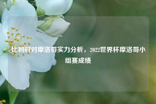 比利时对摩洛哥实力分析，2022世界杯摩洛哥小组赛成绩