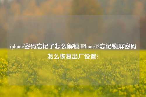 iphone密码忘记了怎么解锁,IPhone12忘记锁屏密码怎么恢复出厂设置?