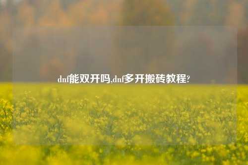 dnf能双开吗,dnf多开搬砖教程?