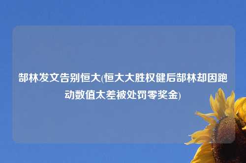 郜林发文告别恒大(恒大大胜权健后郜林却因跑动数值太差被处罚零奖金)