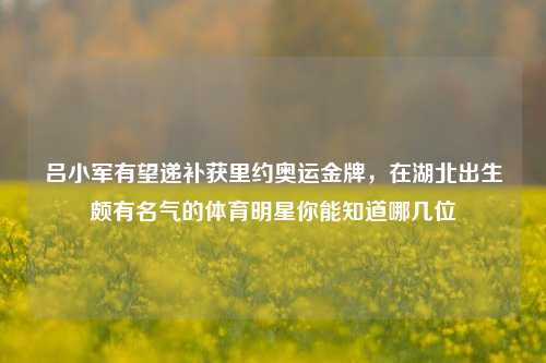 吕小军有望递补获里约奥运金牌，在湖北出生颇有名气的体育明星你能知道哪几位