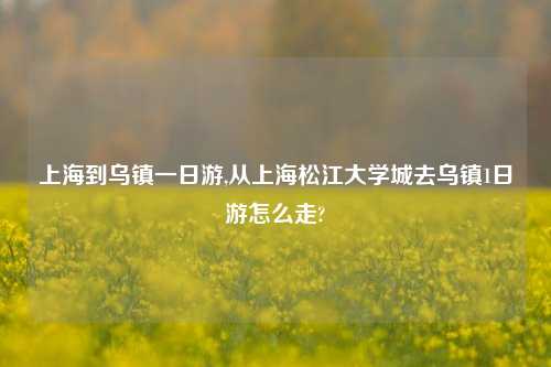 上海到乌镇一日游,从上海松江大学城去乌镇1日游怎么走?