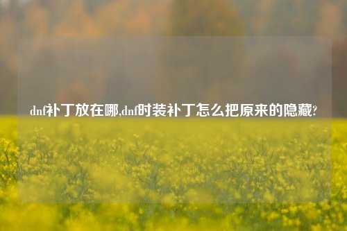 dnf补丁放在哪,dnf时装补丁怎么把原来的隐藏?