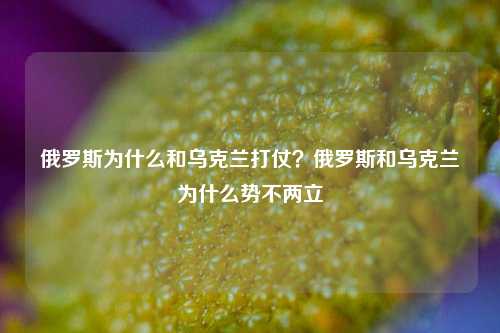 俄罗斯为什么和乌克兰打仗？俄罗斯和乌克兰为什么势不两立