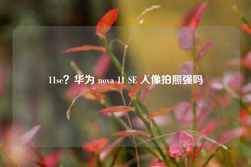 11se？华为 nova 11 SE 人像拍照强吗