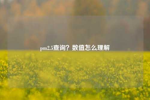 pm2.5查询？数值怎么理解