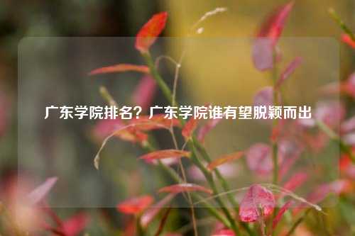 广东学院排名？广东学院谁有望脱颖而出