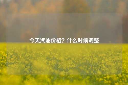 今天汽油价格？什么时候调整