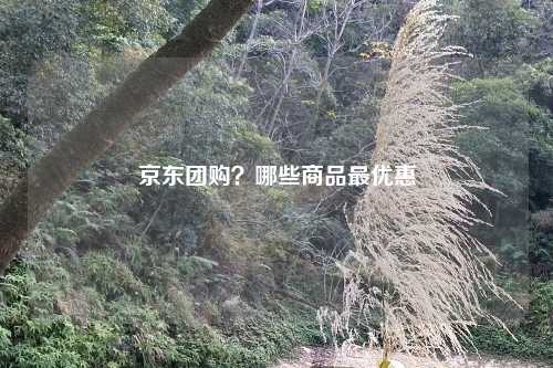 京东团购？哪些商品最优惠