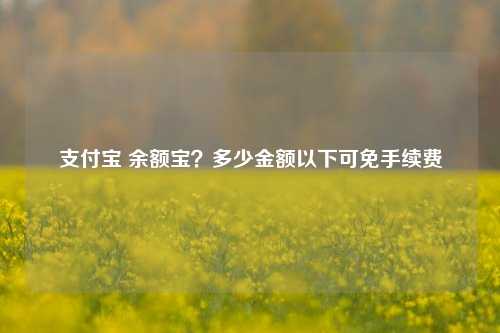 支付宝 余额宝？多少金额以下可免手续费