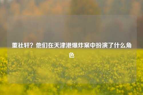 董社轩？他们在天津港爆炸案中扮演了什么角色