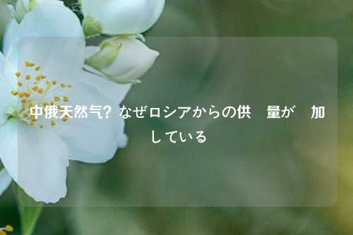 中俄天然气？なぜロシアからの供給量が増加している