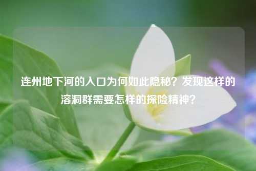 连州地下河的入口为何如此隐秘？发现这样的溶洞群需要怎样的探险精神？